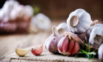 Lifestyle: Harnessing the Multitudes of Garlic