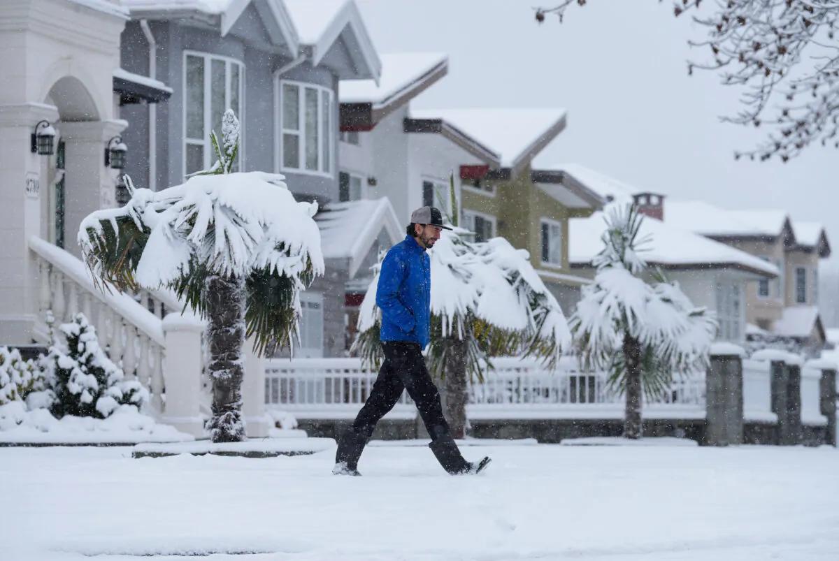 A pedestrian walks past snow-covered palm trees in Vancouver, on Dec. 18, 2022. (THE CANADIAN PRESS/Darryl Dyck)