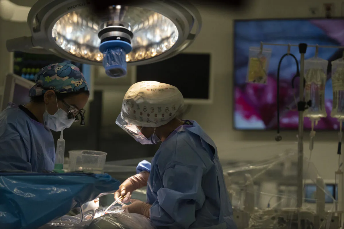 A surgery in performed at the operating room at Toronto's Hospital for Sick Children on Nov. 30, 2022. (The Canadian Press/Chris Young)