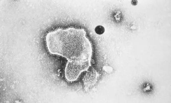 FDA Panel Endorses Pfizer’s RSV Vaccine for Older Adults