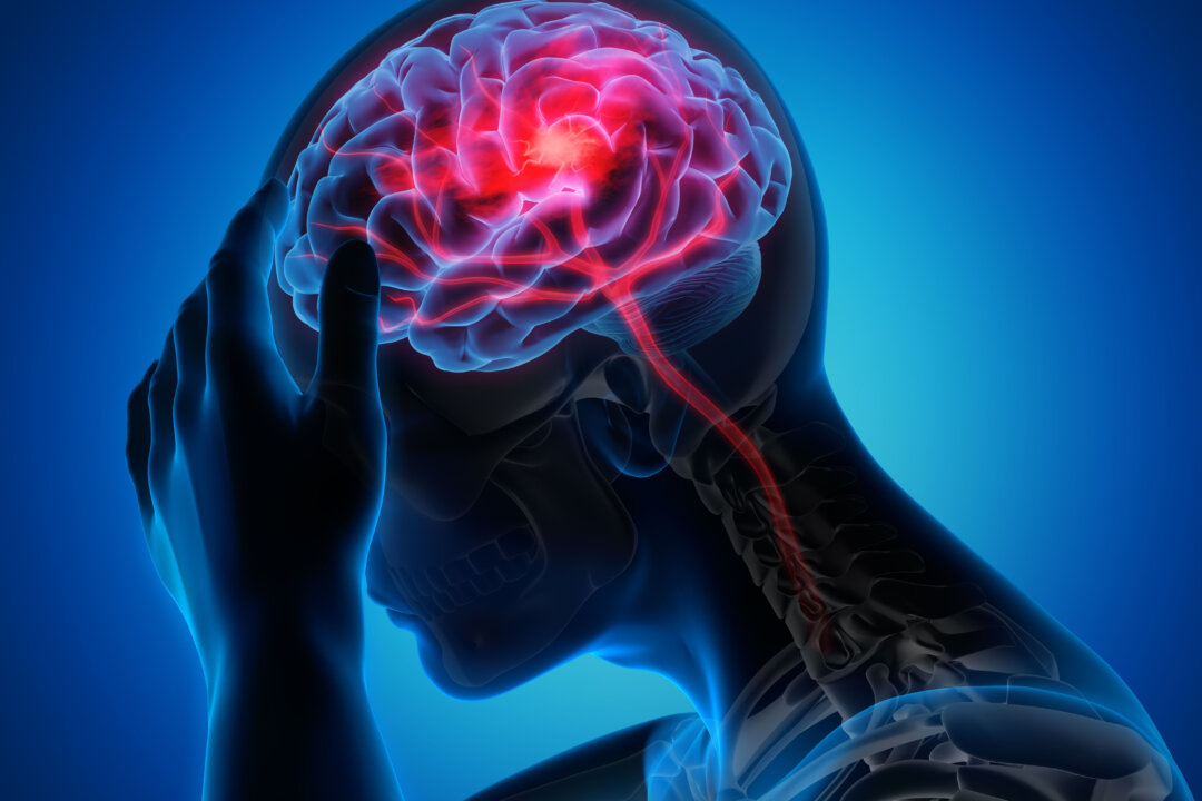 (Shutterstock)