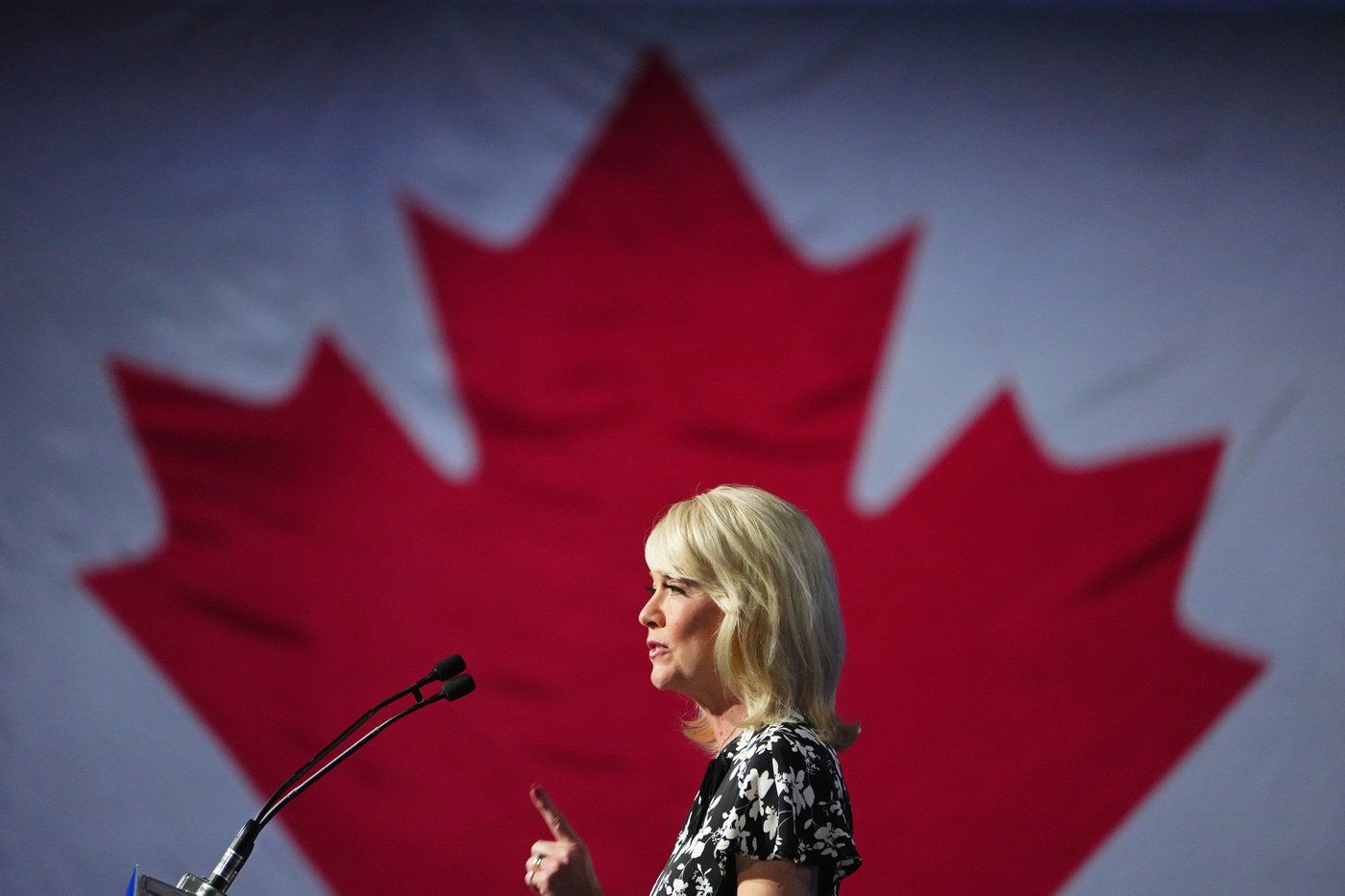 Former Tory Interim Leader, Longtime Manitoba MP Candice Bergen Stepping Down - Vimarsana News