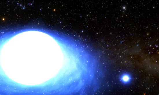 Astronomers Document a Not-so-Super Supernova in the Milky Way