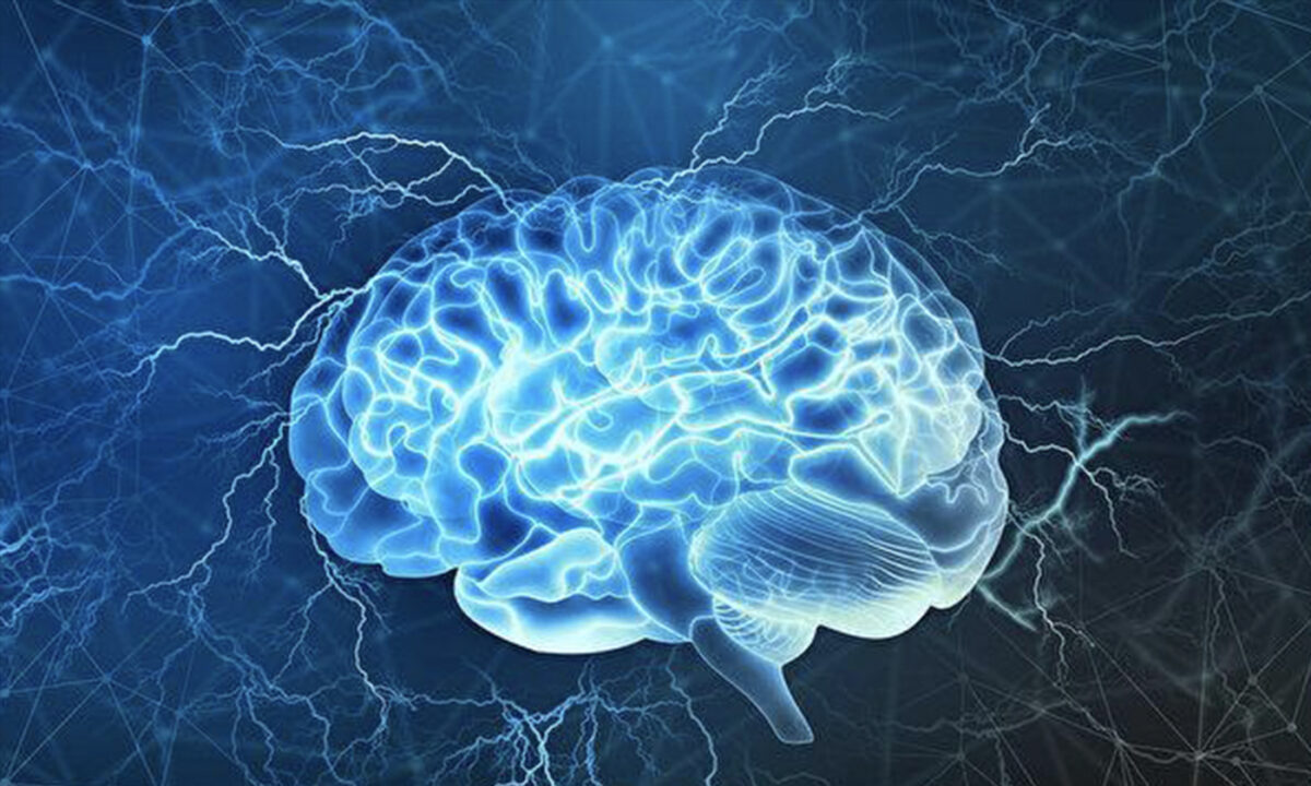 NextImg:1 Exercise and 3 Foods to Boost Memory and Prevent Dementia