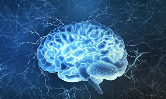 1 Exercise and 3 Foods to Boost Memory and Prevent Dementia