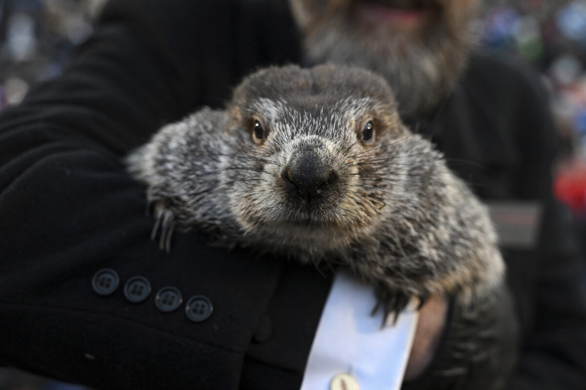 NextImg:Phil’s Groundhog Day Prediction: 6 More Weeks of Winter