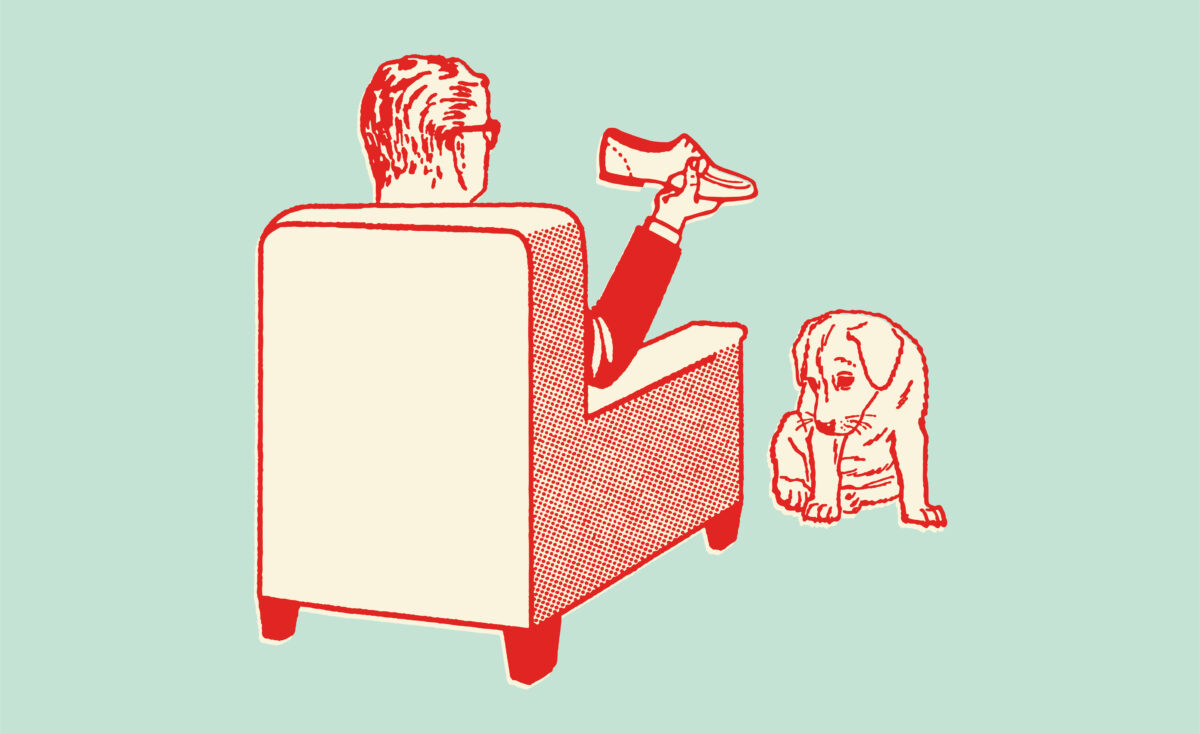 NextImg:Best-Behaved Best Friends