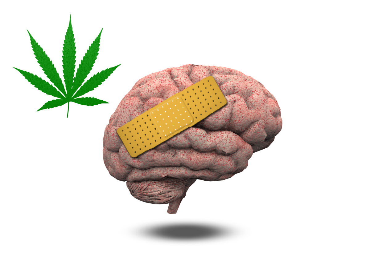 NextImg:Cognitive Effects in Midlife of Long-Term Cannabis Use