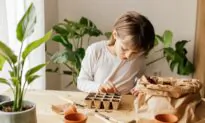 Home Vegetable Gardens: Grow Your Own Food