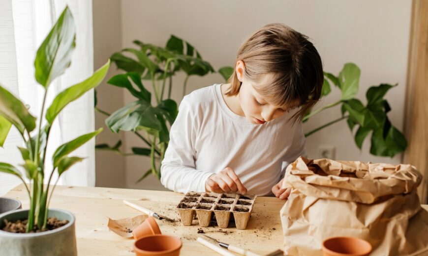 Home Vegetable Gardens: Grow Your Own Food