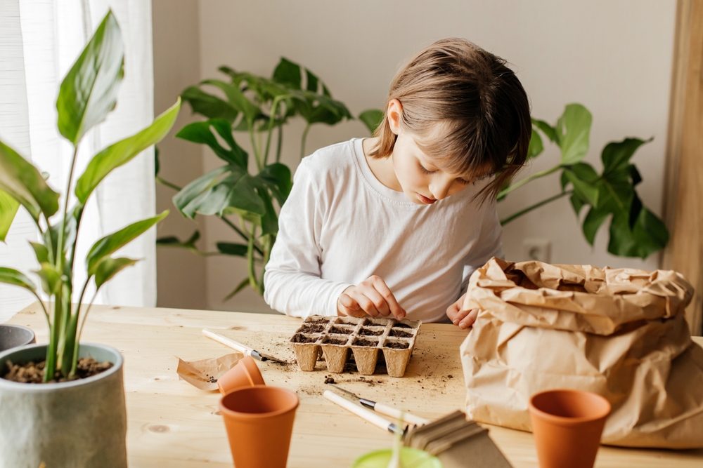 NextImg:Home Vegetable Gardens: Grow Your Own Food