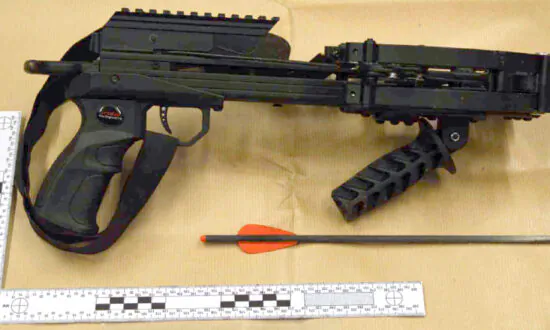 Home Office to Make Crossbows Harder to Obtain After String of High-Profile Incidents