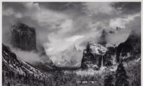Arts: Love at First Shot: Photographer Ansel Adams and Yosemite