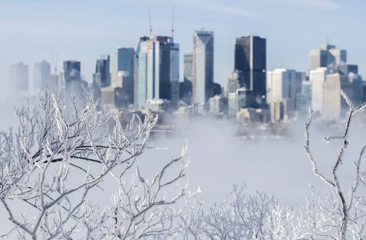Ice is shown on the branches of trees as the Montreal skyline looms in the background under frigid temperatures in Montreal on Feb. 4, 2023. (The Canadian Press/Graham Hughes)