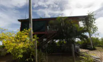 Struggle to Survive in Australia’s Torres Strait Island ‘Paradise’