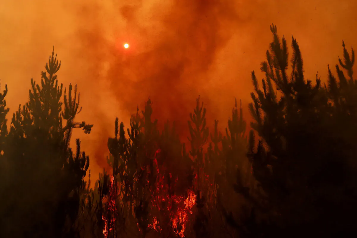A wildfire burns areas in Santa Juana, near Concepcion, Chile, on Feb. 4, 2023. (Ailen Diaz/Reuters)