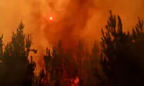 At Least 23 Dead in Chile as Dozens of Wildfires Torch Forests