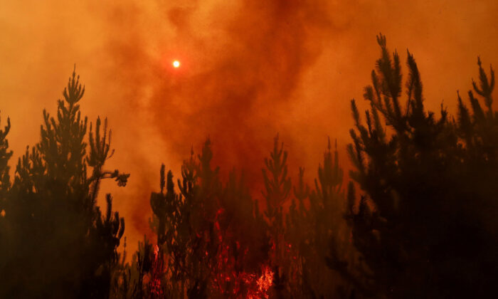 A wildfire burns areas in Santa Juana, near Concepcion, Chile, on Feb. 4, 2023. (Ailen Diaz/Reuters)