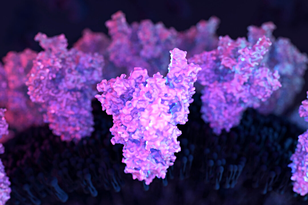 (Design_Cells/Shutterstock)