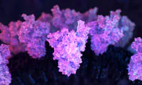 “I Hope We Don’t Find Out … This mRNA Lingers in the Body,” Says Pfizer Doctor