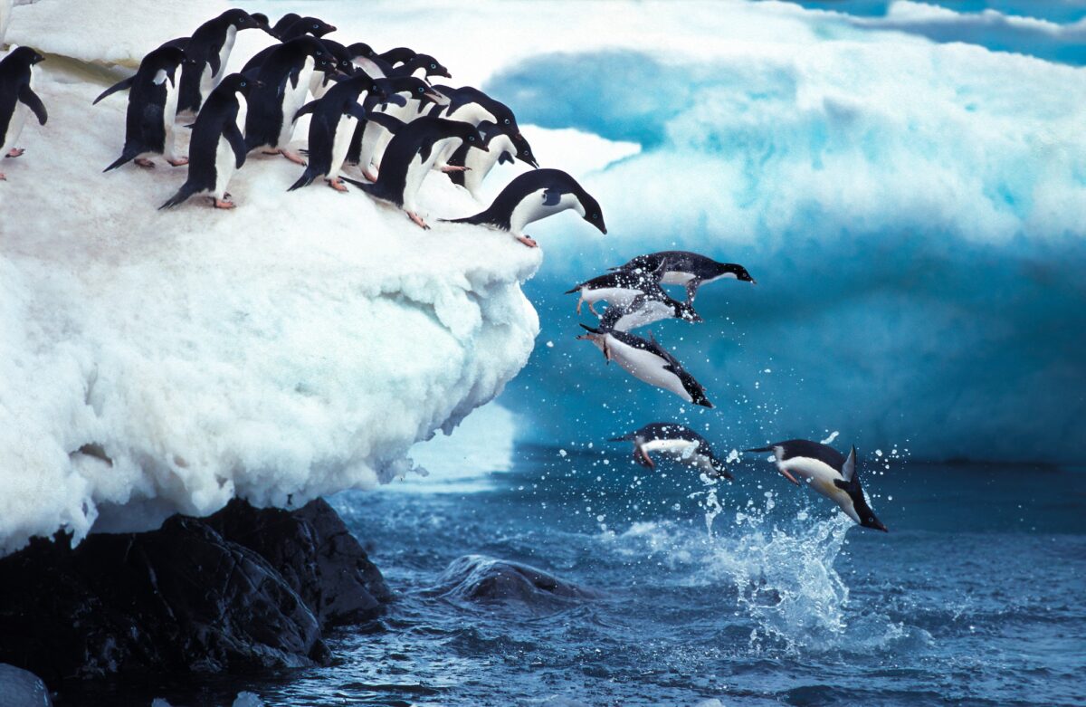 NextImg:In the Steps of Explorers: Finding Antarctica