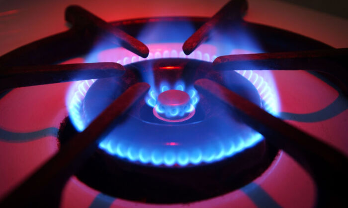 Blue flames rise from the burner of a natural gas stove in Orange, Calif., June 11, 2003. (David McNew/Getty Images)