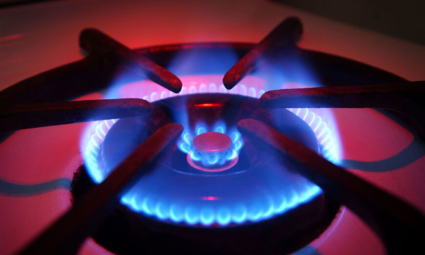 GOP targets gas stove regulations and administrative state power.