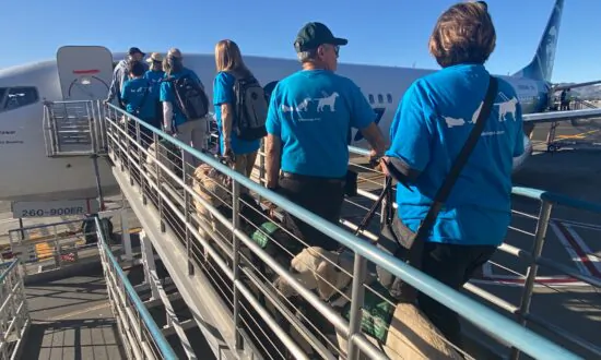 25 Puppies Learn to Board Flight at Burbank Airport, Prepare for Guide Dog Career