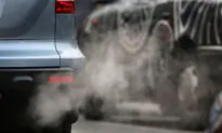 Just $80 to Offset My Emissions? I’ll Take That Deal!