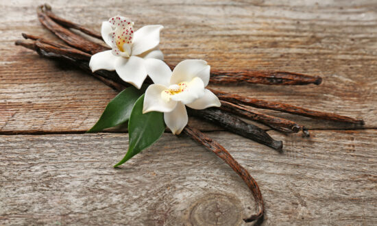 The Medicinal Properties of Vanilla: From Ancient History to Modern Use