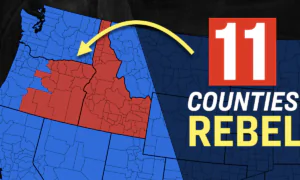 30 Percent of Counties Vote to Secede From Oregon, Join Greater Idaho | Facts Matter