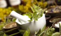 10 Herbs That Help Boost Immunity: Current Studies