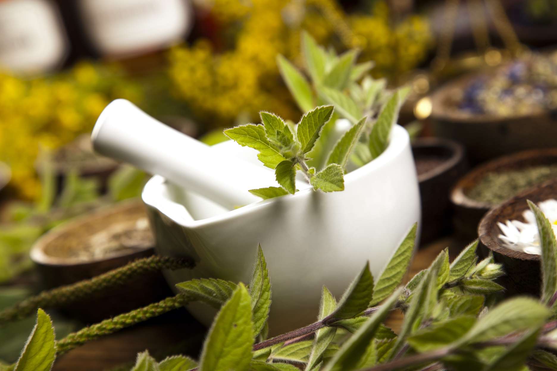 10 Herbs That Help Boost Immunity: Current Studies - Vimarsana News