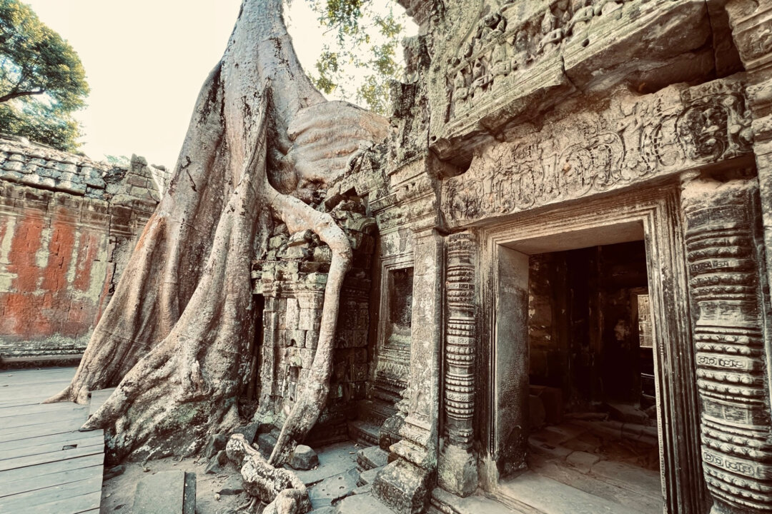 The Ta Prohm temple in the ancient Angkor complex of Angkor Thom, near Siem Reap, Cambodia. This temple is most famous as the “Lara Croft: Tomb Raider” temple. (Marla Jo Fisher/The Press-Enterprise/SCNG/TNS)