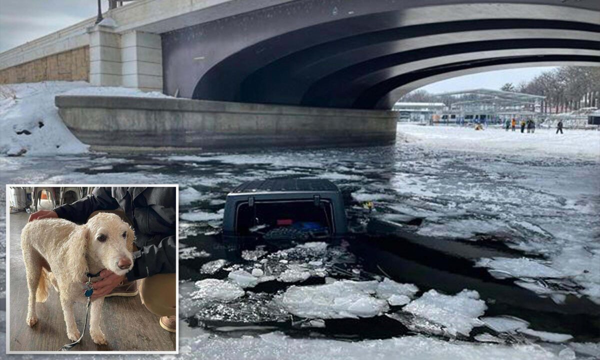 NextImg:17-Year-Old Iowan Sees Jeep Break Through Ice on Lake, Teams Up With 4 Strangers to Save Driver and Dog