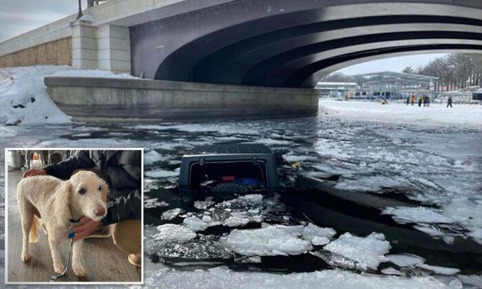 17-Year-Old Iowan Sees Jeep Break Through Ice on Lake, Teams Up With 4 Strangers to Save Driver and Dog