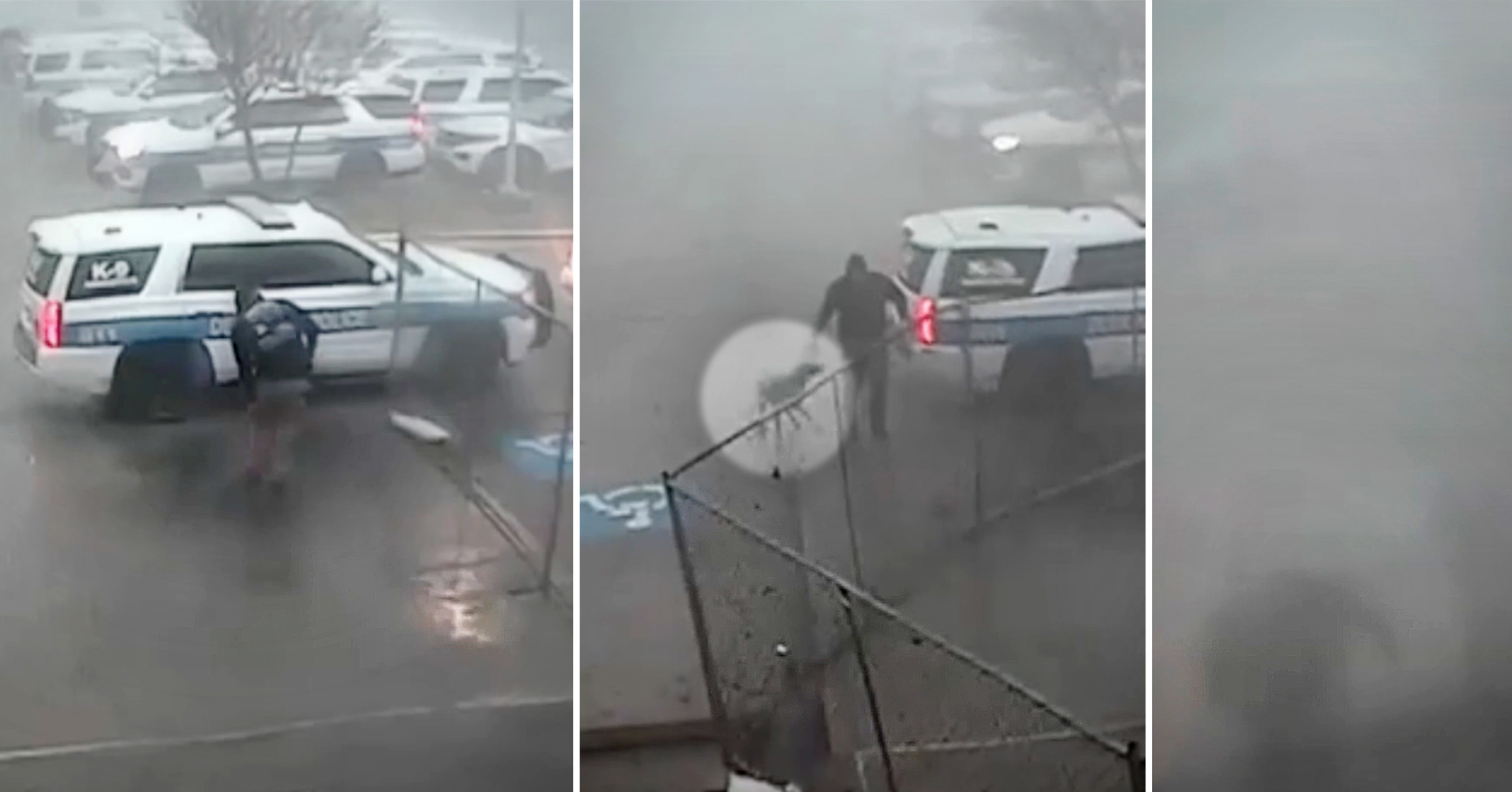 NextImg:VIDEO: Police officer rushes into raging Texas tornado to rescue K9 partner trapped in police cruiser