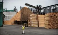 BC Lumber Industry on Edge After Biden Ups the Ante on Buy American Policies