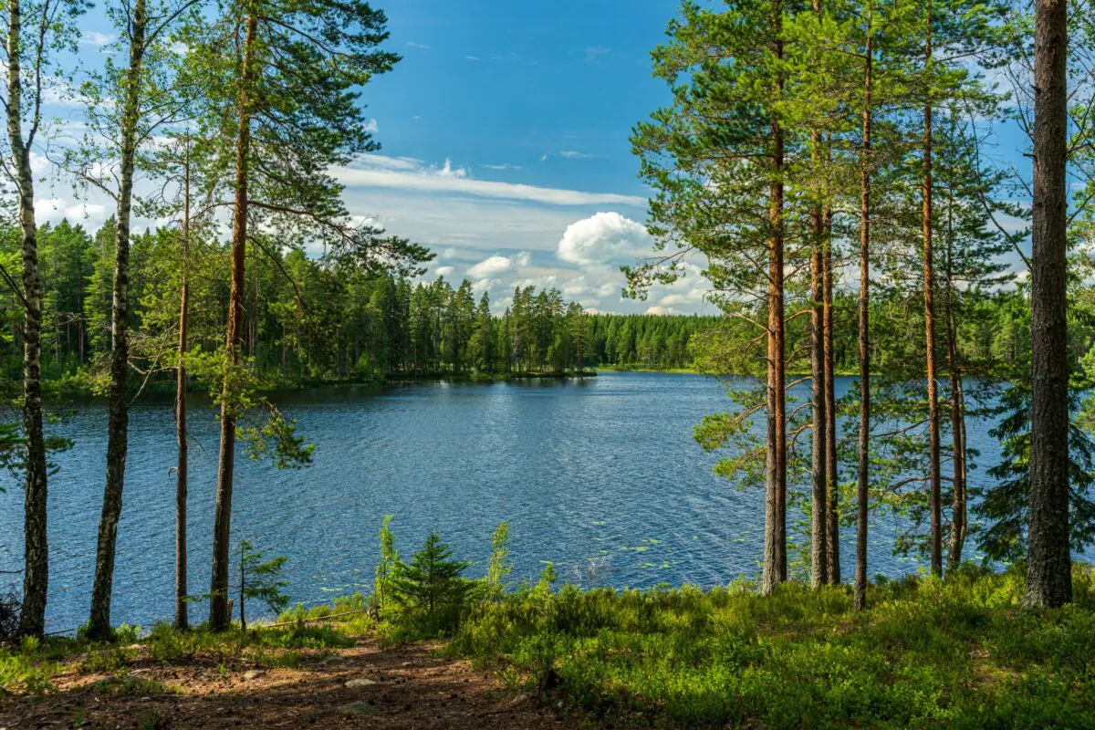 The setting of E.B. White’s short story “Once More to the Lake” published in Harper’s Magazine in 1941 is a lake in Maine. (Magnus Bitterstam/Shutterstock)