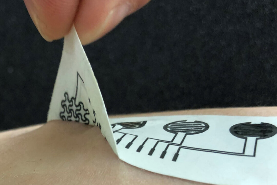 Photograph showing the stickiness between the wearable concept and human skin. (University of Missouri)