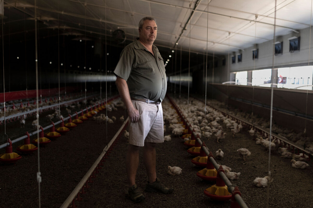 NextImg:Exhausted Farmers Say ‘ANC-Inspired’ Blackouts Destroying Food Production in Africa’s Breadbasket