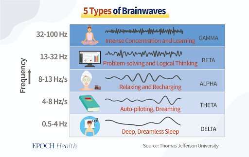 5 types of brainwaves