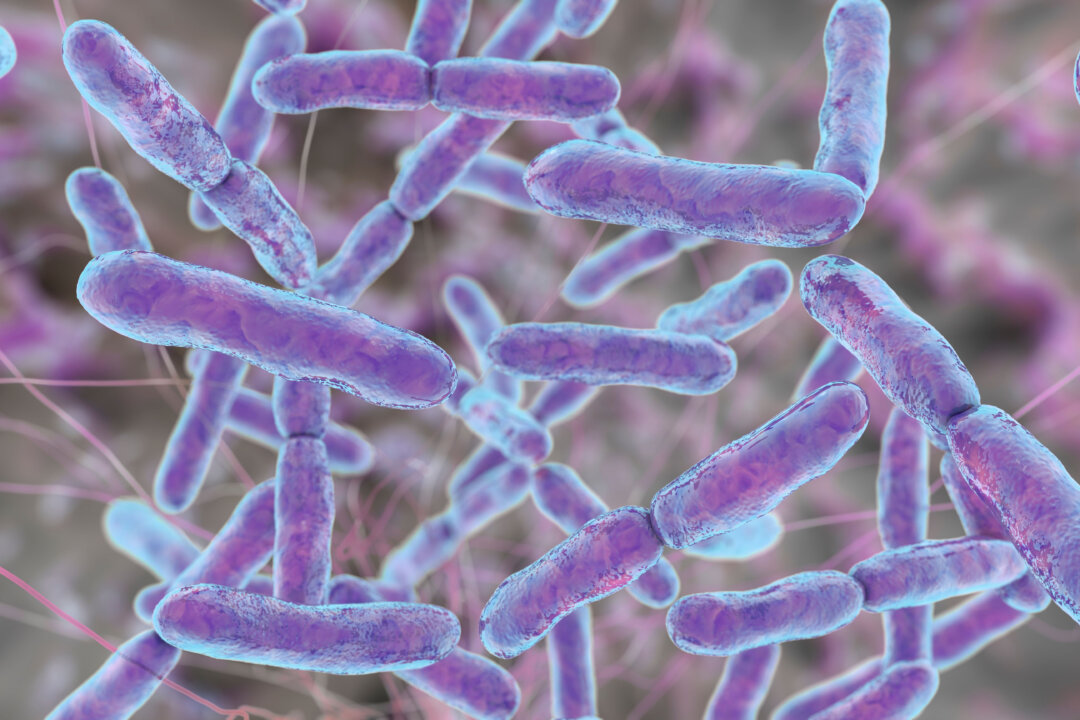 COVID-19: A Wakeup Call for Our Dying Microbiome