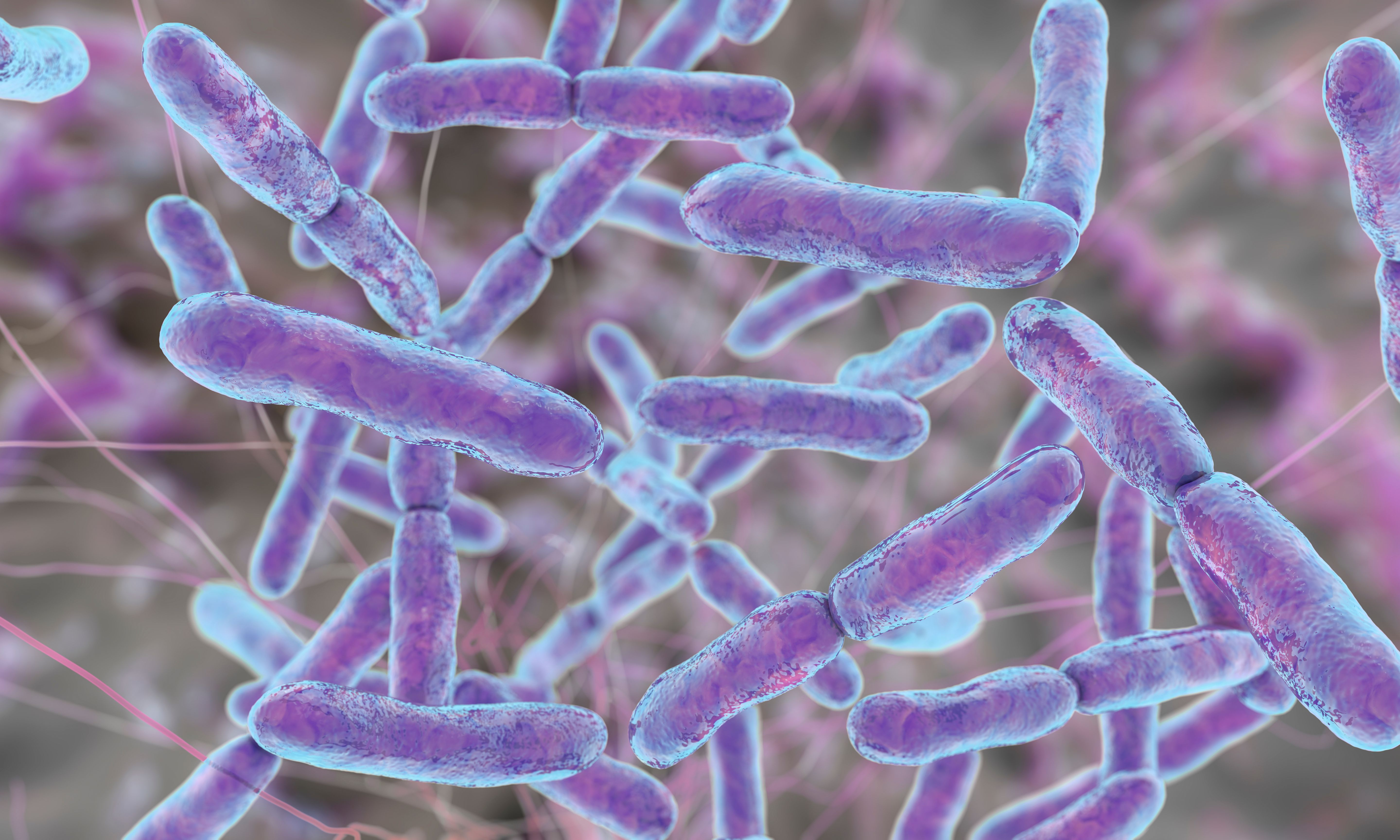 COVID-19: A Wakeup Call for Our Dying Microbiome - Vimarsana News