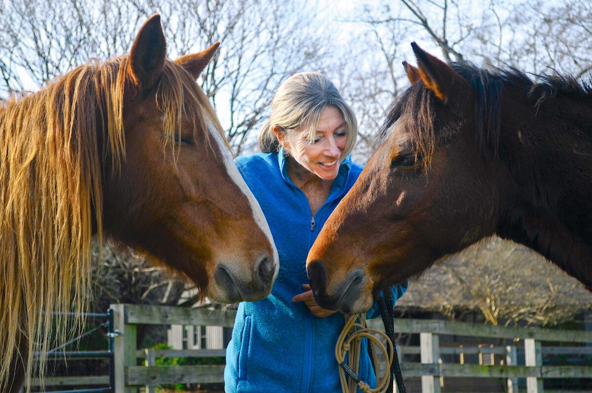 NextImg:Once Saved by Wild Mustangs, This Alabama Woman Is on a Mission to Return the Favor