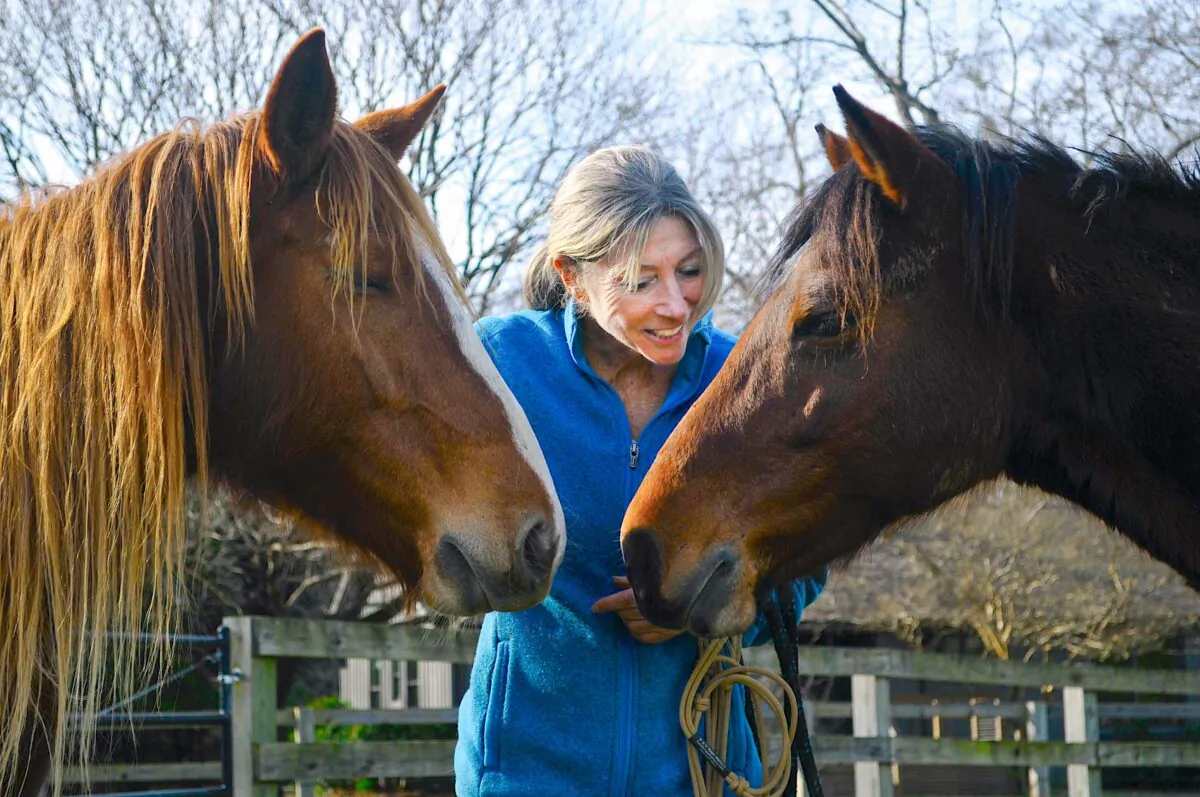 Due to the lack of resources for mustangs in the wild, many are rounded up
by the federal government for people like Styslinger to adopt. (Karim Shamsi-Basha)