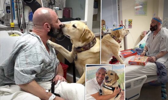 VIDEO: Loyal Dog Who Can ‘Read People’ Lifts Up Owner Hospitalized With Serious Heart Condition