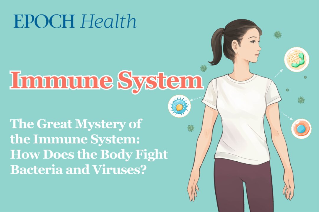 How does the body's immune system fight viruses and bacteria? What factors affect immunity? The complete guide to the mysteries of the immune system. (The Epoch Times)