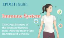 Immune System Complete Guide: This Is How Your Body Keeps Out Bacteria and Viruses (Infographics)