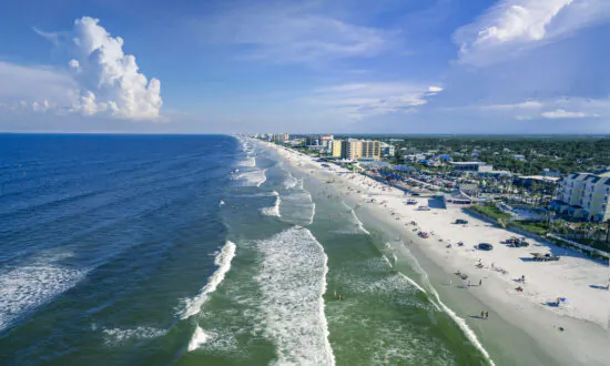 Florida May Dodge Catastrophic Seaweed Bullet, Oceanographer Says